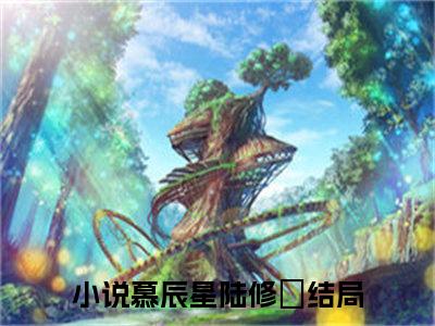 （慕辰星陆修璟）全文免费阅读无弹窗大结局_慕辰星陆修璟最新章节列表_笔趣阁（慕辰星陆修璟）