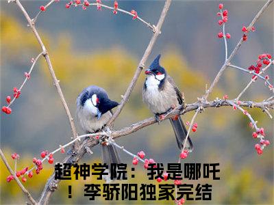 超神学院：我是哪吒！李骄阳(超神学院：我是哪吒！李骄阳)全文免费阅读无弹窗大结局_(超神学院：我是哪吒！李骄阳)小说免费阅读无弹窗最新章节列表