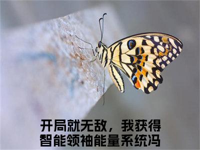 开局就无敌，我获得智能领袖能量系统冯奕程小说全文免费阅读（开局就无敌，我获得智能领袖能量系统冯奕程）全文免费阅读无弹窗大结局_（开局就无敌，我获得智能领袖能量系统冯奕程）开局就无敌，我获得智能领袖能量系统冯奕程结局最新章节列表_笔趣阁（开局就无敌，我获得智能领袖能量系统冯奕程）