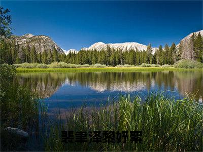 主角是《裴聿泽黎妤絮》的小说强推-爱情小说免费阅读-裴聿泽黎妤絮