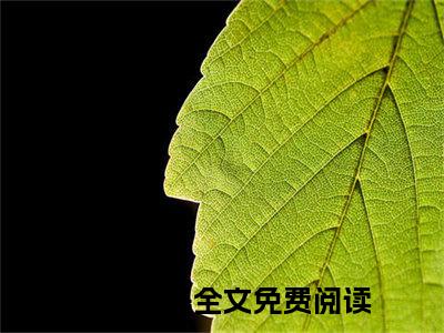 苏伊秦晟小说《苏伊秦晟》全章节阅读-苏伊秦晟精彩小说全文赏析