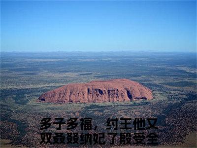 多子多福，纣王他又双叒叕纳妃了殷受小说最新章节阅读-小说（多子多福，纣王他又双叒叕纳妃了殷受）已完结小说精彩大结局