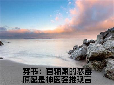 叶浅浅苏墨阳在线阅读（穿书：首辅家的恶毒原配是神医）全文免费阅读无弹窗大结局_穿书：首辅家的恶毒原配是神医最新章节列表笔趣阁（叶浅浅苏墨阳）