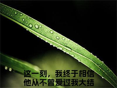 （热推新书）《白芸沈言慕》这一刻，我终于相信他从不曾爱过我无弹窗阅读_白芸沈言慕最新章节列表_笔趣阁