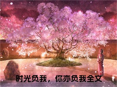 时光负我，你亦负我小说最新章节阅读-苏慧雅冷庭夜全文免费试读