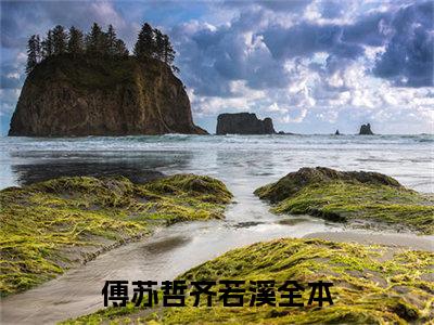 私藏读物《傅苏哲齐若溪》小说全文免费阅读-微小说（傅苏哲齐若溪）完整版阅读