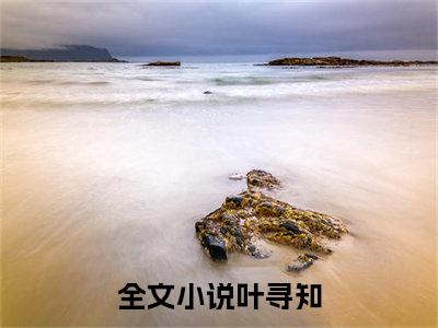 叶寻知（假千金心声泄露后，彻底摆烂吃瓜）全文免费阅读_叶寻知免费阅读最新章节列表笔趣阁（假千金心声泄露后，彻底摆烂吃瓜）