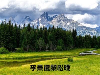 李景徽黎松晚（李景徽黎松晚）全文免费阅读无弹窗大结局_李景徽黎松晚最新章节列表