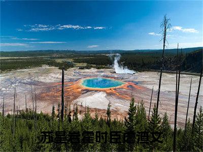 苏星岩霍时臣小说（苏星岩霍时臣）全文在线阅读无弹窗大结局