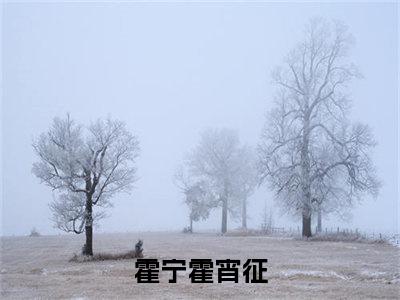 穿书：捡了个冷酷霸总爹地（霍宁霍宵征）全文免费阅读无弹窗完整版，（穿书：捡了个冷酷霸总爹地）免费阅读全文最新章节列表_笔趣阁