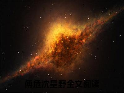 傅危沈星野小说（傅危沈星野）全文免费阅读_（傅危沈星野）小说最新章节列表_笔趣阁（傅危沈星野）