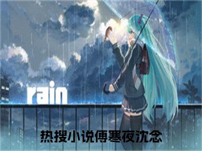 怀胎三月离婚，首富老公搜遍全球傅寒夜沈念完整全文在线阅读怀胎三月离婚，首富老公搜遍全球全文大结局阅读无弹窗