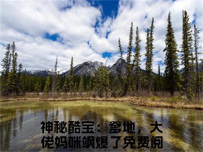 乔安沐霍云霆（神秘酷宝：爹地，大佬妈咪飒爆了）全文免费阅读无弹窗大结局_乔安沐霍云霆最新章节列表（神秘酷宝：爹地，大佬妈咪飒爆了）