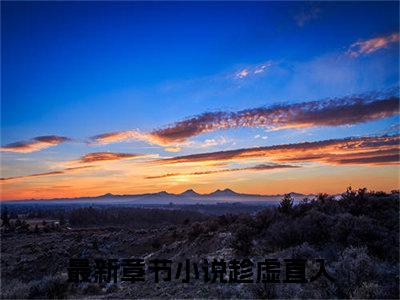 趁虚直入快手小说（冯曳简行）txt阅读大结局-抖音近期热门趁虚直入全文免费