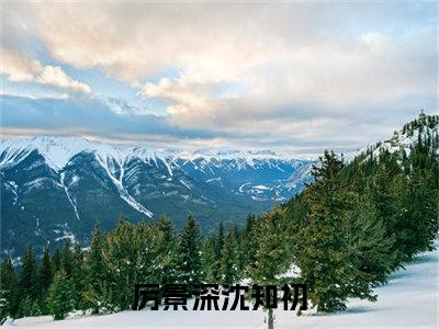 厉景深沈知初免费阅读无弹窗大结局-厉景深沈知初（厉景深沈知初最新全章节大结局）全文阅读