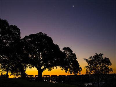 季棠周景琛小说（季棠周景琛）热推新书_季棠周景琛最新章节在线阅读_笔趣阁