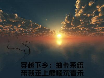 穿越下乡：抽卡系统带我走上巅峰沈青禾最新热门小说-（穿越下乡：抽卡系统带我走上巅峰沈青禾）最新章节免费阅读