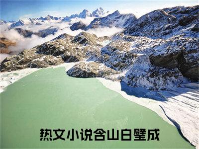 含山白璧成（九莲珠）全文免费阅读无弹窗大结局_（九莲珠）含山白璧成最新章节列表