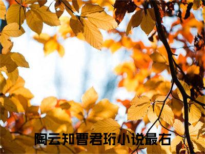 小说(陶云知曹君珩)免费阅读-陶云知曹君珩小说全文在线赏析