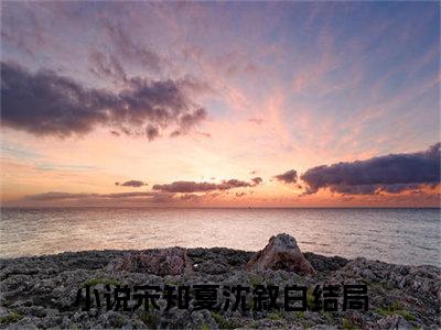 宋知夏沈叙白全集章节小说免费阅读完整版（宋知夏沈叙白）-宋知夏沈叙白小说免费阅读