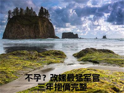 苏茉周烈（不孕？改嫁最猛军官三年抱俩）全文免费阅读无弹窗_（不孕？改嫁最猛军官三年抱俩小说全文免费阅读）苏茉周烈最新章节列表笔趣阁