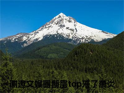 热门小说推荐谢邀文娱圈断层top来了萧炎-谢邀文娱圈断层top来了萧炎全文免费大结局