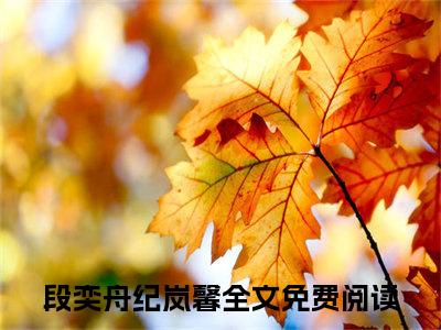 段奕舟纪岚馨全网首发最新小说-段奕舟纪岚馨全文在线免费阅读