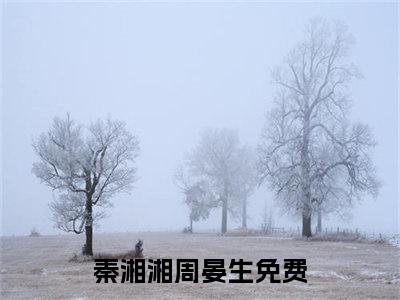 秦湘湘周晏生全集小说完整版大结局_秦湘湘周晏生完结版在线阅读