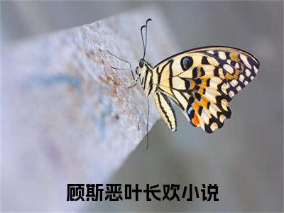 小说名字是：顾斯恶叶长欢的小说全文免费阅读-（顾斯恶叶长欢小说免费阅读）顾斯恶叶长欢正版小说免费阅读_笔趣阁