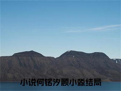 小野猫，我喜欢（何铭汐顾小淼）全文免费阅读_小野猫，我喜欢（何铭汐顾小淼）章节免费阅读-笔趣阁