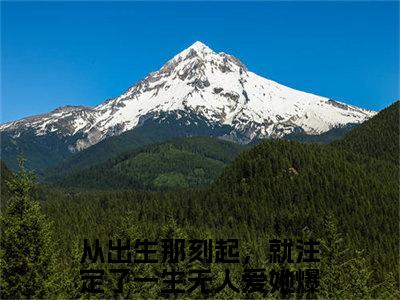 芙嫣晏潮生小说全文免费阅读无弹窗大结局_从出生那刻起，就注定了一生无人爱她最新章节列表_笔趣阁