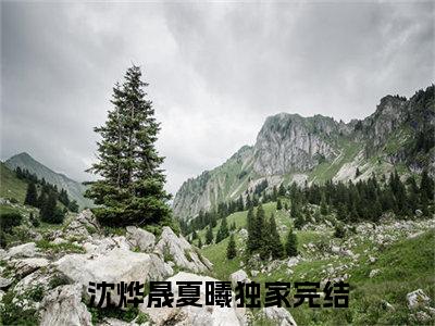 沈烨晟夏曦(沈烨晟夏曦）小说全文免费阅读无弹窗大结局_（沈烨晟夏曦）沈烨晟夏曦小说全文免费阅读最新章节列表笔趣阁（沈烨晟夏曦）