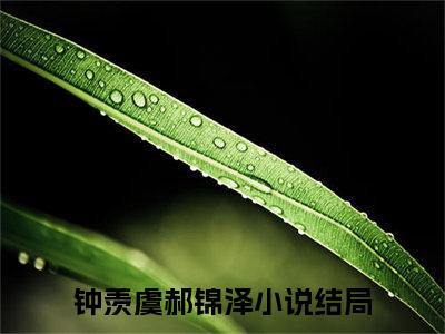 钟羡虞郝锦泽最新免费小说全文在线阅读无弹窗大结局_（钟羡虞郝锦泽全文在线阅读无弹窗）