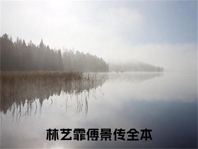 林艺霏傅景传(林艺霏傅景传)全文免费阅读大结局_林艺霏傅景传免费在线阅读_笔趣阁（林艺霏傅景传）