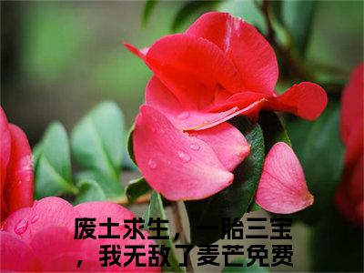 废土求生，一胎三宝，我无敌了麦芒全本小说无弹窗阅读-废土求生，一胎三宝，我无敌了麦芒（废土求生，一胎三宝，我无敌了麦芒）精彩热门小说