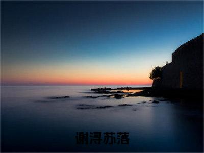 谢浔苏落小说在线阅读全文完整版免费阅读_谢浔苏落小说免费最新章节列表