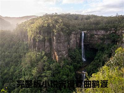 小说《漫夏如梦》全文免费阅读无弹窗-宋漫夏曲鹤渡小说全文在线赏析