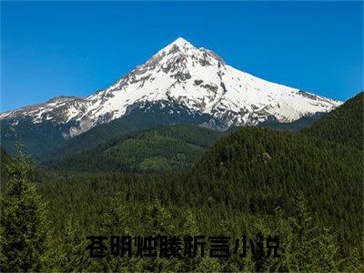 苍明烛滕析言（苍明烛滕析言）全文免费阅读无弹窗大结局_苍明烛滕析言在线阅读笔趣阁