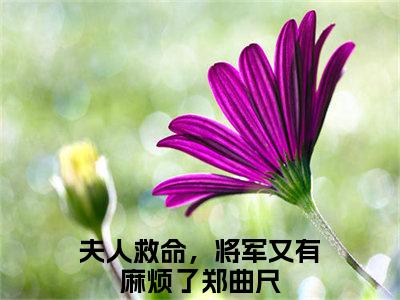 抖音新书热荐小说（夫人救命，将军又有麻烦了郑曲尺）主角是（夫人救命，将军又有麻烦了郑曲尺）小说免费阅读小说无弹窗阅读_笔趣阁