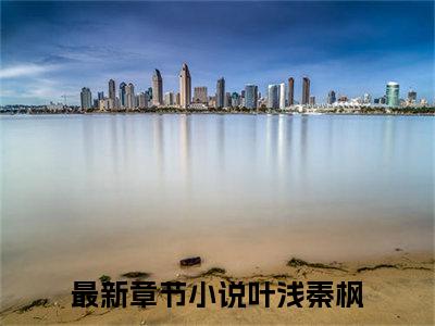 叶浅秦枫（叶浅秦枫）全文免费阅读无弹窗大结局_叶浅秦枫小说全文免费阅读最新章节列表_笔趣阁（叶浅秦枫）