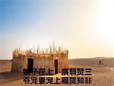 娘子在上！病弱贺三爷宠妻宠上瘾（贺知非晏十鸢）全文免费阅读无弹窗大结局_贺知非晏十鸢全文免费阅读_笔趣阁