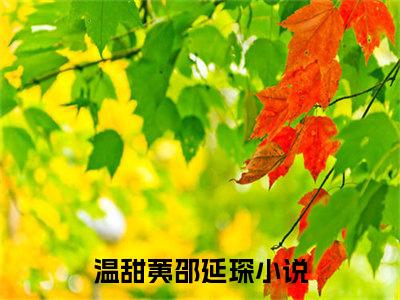 温甜荑邵延琛小说主角叫什么 温甜荑邵延琛全文免费阅读大结局