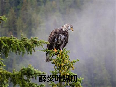 薛炎叶锦初(薛炎叶锦初）小说全文免费读无弹窗大结局_薛炎叶锦初小说全文免费阅读最新章节列表