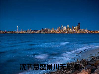 沈书意盛景川（沈书意盛景川）全文免费阅读-小说沈书意盛景川最新章节阅读笔趣阁