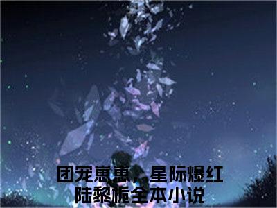 (团宠崽崽，星际爆红陆黎栀)团宠崽崽，星际爆红陆黎栀小说免费团宠崽崽，星际爆红陆黎栀读无弹窗最新章节列表_笔趣阁（团宠崽崽，星际爆红陆黎栀）