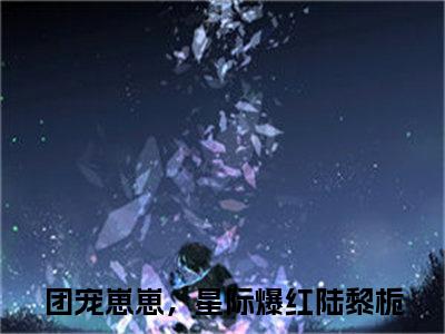 团宠崽崽，星际爆红陆黎栀（团宠崽崽，星际爆红陆黎栀小说）全文免费阅读无弹窗大结局_(团宠崽崽，星际爆红陆黎栀小说免费阅读)最新章节列表