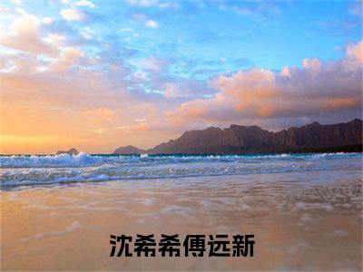 沈希希傅远新全文免费阅读（沈希希傅远新无弹窗大结局）_沈希希傅远新全文免费阅读