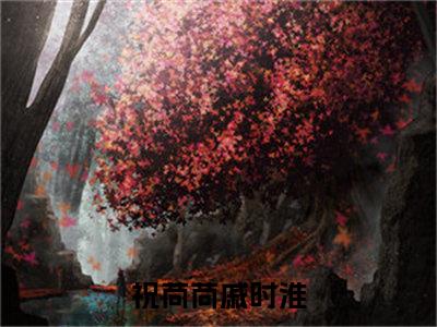 祝苘苘戚时淮（祝苘苘戚时淮）全文无弹窗阅读-精彩小说祝苘苘戚时淮