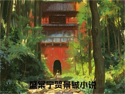 盛棠宁贺景铖（盛棠宁贺景铖）全文免费阅读无弹窗大结局_盛棠宁贺景铖在线阅读（盛棠宁贺景铖）