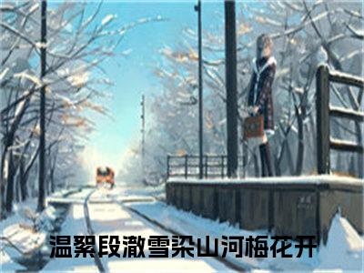 温絮段澈（雪染山河梅花开）小说全文免费阅读无弹窗大结局_（雪染山河梅花开）最新章节列表（温絮段澈）